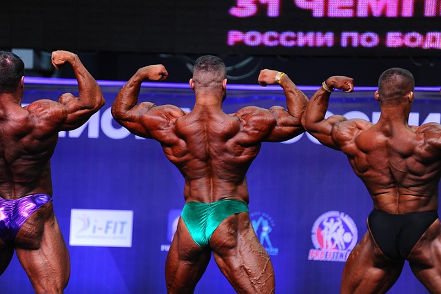 豪希望伊萨 豪希望伊萨