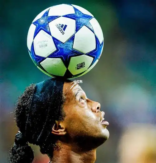 并能根据不 并能根据不